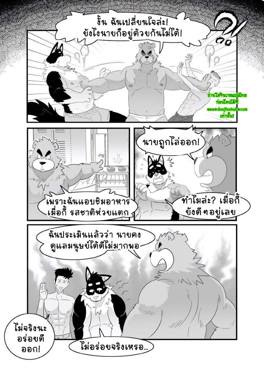 อาสาสมัครเคโมะ-29