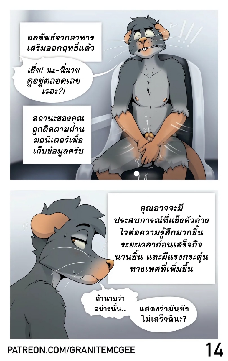 หนูทดลอง-16