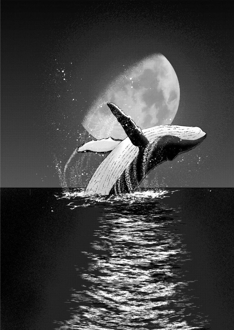 ดวงจันทร์ ปลาวาฬ เเละการหลบหนี-9